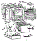 Body Section