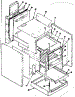 Body Section