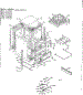 Body Section