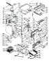 Body Section