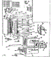 Body Section