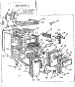 Body Section