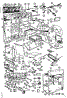 Body Section