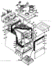 Body Section