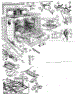 Body Section