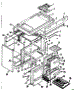 Body Section