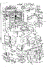 Body Section