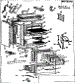 Body Section