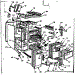 Body Section