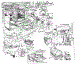 Body Section