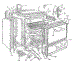 Body Section