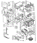 Body Section