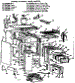 Body Section
