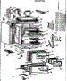 Body Section