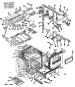Body Section