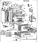 Body Section