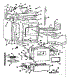 Body Section