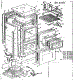 Body Section