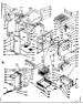 Body Section