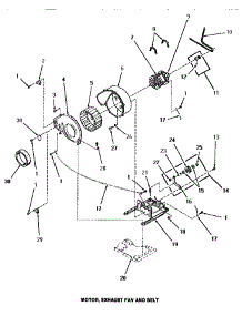 12 - Motor, Exhaust Fan & Belt parts for Amana Dryer HG2980 from AppliancePartsPros.com