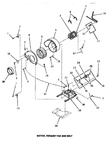 13 - Motor, Exhaust Fan & Belt parts for Amana Dryer HG4009 from AppliancePartsPros.com