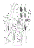 01 - Mainhousing, Motor Assembly, Handle