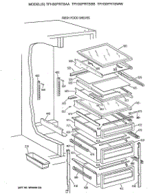 06 - Fresh Food Shelves parts for Ge Refrigerator TFH30PRTBAA from AppliancePartsPros.com