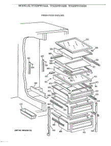 05 - Fresh Food Shelves parts for Ge Refrigerator TFX25PRYABB from AppliancePartsPros.com