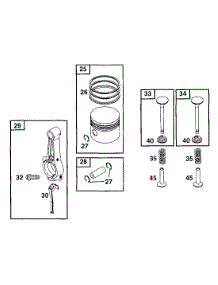 Piston Grp parts for Briggs & Stratton Engine 090102-0122-01 from AppliancePartsPros.com