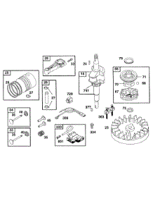 Piston Grp,Armature,Flywheel parts for Briggs & Stratton Engine 096902-7001-99 from AppliancePartsPros.com