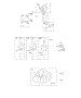 Camshaft, Crankcase Cover / Sump, Crankshaft, Piston / Rings / Connecting Rod