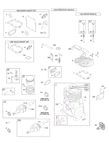 Cylinder, Head, Crankshaft, Piston, Gasket Sets parts for Briggs & Stratton Engine 09K432-0117-01 from AppliancePartsPros.com