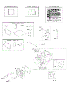 Cylinder, Cylinder Head, Gasket Set - Engine, Gasket Set - Valve, Lubrication, Operator's Manual, Warning Label parts for Briggs & Stratton Engine 09T802-0113-B1 from AppliancePartsPros.com