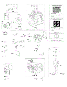 Cam Gear, Crankcase Cover / Sump, Crankshaft, Cylinder, Cylinder Head, Piston / Rings / Connecting Rod parts for Briggs & Stratton Engine 100605-0014-H8 from AppliancePartsPros.com