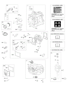 Cam Gear, Crankcase Cover / Sump, Crankshaft, Cylinder, Cylinder Head, Piston / Rings / Connecting Rod parts for Briggs & Stratton Engine 100802-0116-H8 from AppliancePartsPros.com