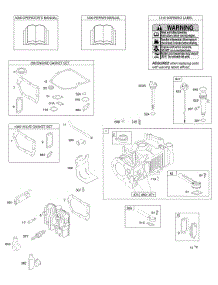 Cylinder, Cylinder Head, Engine / Valve Gasket Sets, Lubrication, Operator's Manual, Warning Label parts for Briggs & Stratton Engine 10G902-0823-B1 from AppliancePartsPros.com
