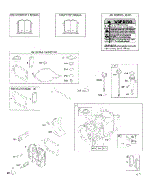 Cylinder, Cylinder Head, Gasket Set - Engine, Gasket Set - Valve, Lubrication, Operator's Manual, Warning Label parts for Briggs & Stratton Engine 10K902-0110-E1 from AppliancePartsPros.com