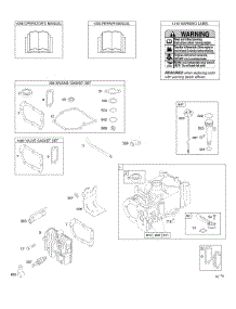 Cylinder, Cylinder Head, Gasket Set - Engine, Gasket Set - Valve, Lubrication, Operator's Manual, Warning Label parts for Briggs & Stratton Engine 10L902-0110-B1 from AppliancePartsPros.com