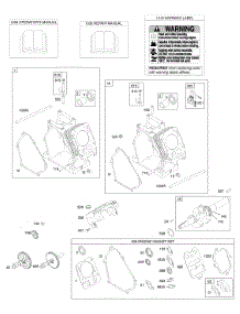Cylinders, Crankshaft, Engine Gasket Set parts for Briggs & Stratton Engine 110437-0171-E1 from AppliancePartsPros.com