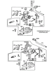 Carburetor Assemblies parts for Briggs & Stratton Engine 110982-3177-01 from AppliancePartsPros.com
