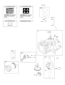 Camshaft, Crankshaft, Cylinder, Operator's Manual, Piston / Rings / Connecting Rod, Warning Label parts for Briggs & Stratton Engine 110P02-0003-F1 from AppliancePartsPros.com