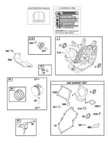 Cylinder, Gasket Set - Engine, Operator's Manual, Piston, Rings, Connecting Rod, Warning Label parts for Briggs & Stratton Engine 117462-0501-B2 from AppliancePartsPros.com