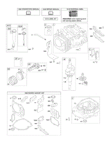 Camshaft, Crankshaft, Cylinder, Engine Sump, Lubrication, Piston Group parts for Briggs & Stratton Engine 11C602-0100-E1 from AppliancePartsPros.com