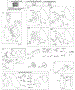 Camshaft, Crankcase Cover, Crankshaft, Cylinder, Lubrication, Piston Group