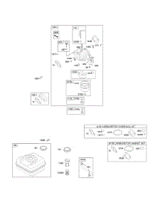 Carburetor, Fuel Supply parts for Briggs & Stratton Engine 122132-0110-E8 from AppliancePartsPros.com