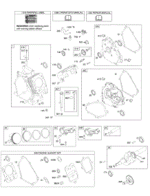 Camshaft, Crankcase Cover, Crankshaft, Cylinder, Lubrication, Piston Group parts for Briggs & Stratton Engine 122432-0139-B8 from AppliancePartsPros.com