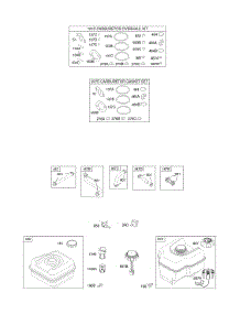 Fuel Supply parts for Briggs & Stratton Engine 122462-0111-01 from AppliancePartsPros.com