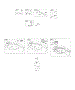 Flywheel Brake, Fuel Supply