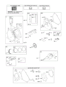 Camshaft, Crankcase Cover, Crankshaft, Cylinder, Lubrication, Piston Group parts for Briggs & Stratton Engine 124032-0267-E1 from AppliancePartsPros.com