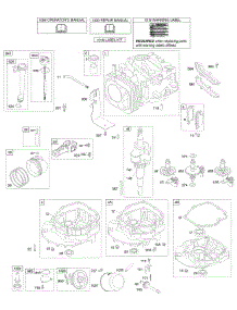 Camshaft, Crankshaft, Cylinder, Engine Sump, Lubrication, Piston Group parts for Briggs & Stratton Engine 124672-0030-B1 from AppliancePartsPros.com
